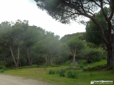 Senda del Yelmo - Cuerda de la Parada; balcon de ordesa paseos por madrid gratis viajes para grupos 